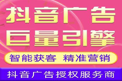 某科技公司的信息流广告投放策略与效果评估